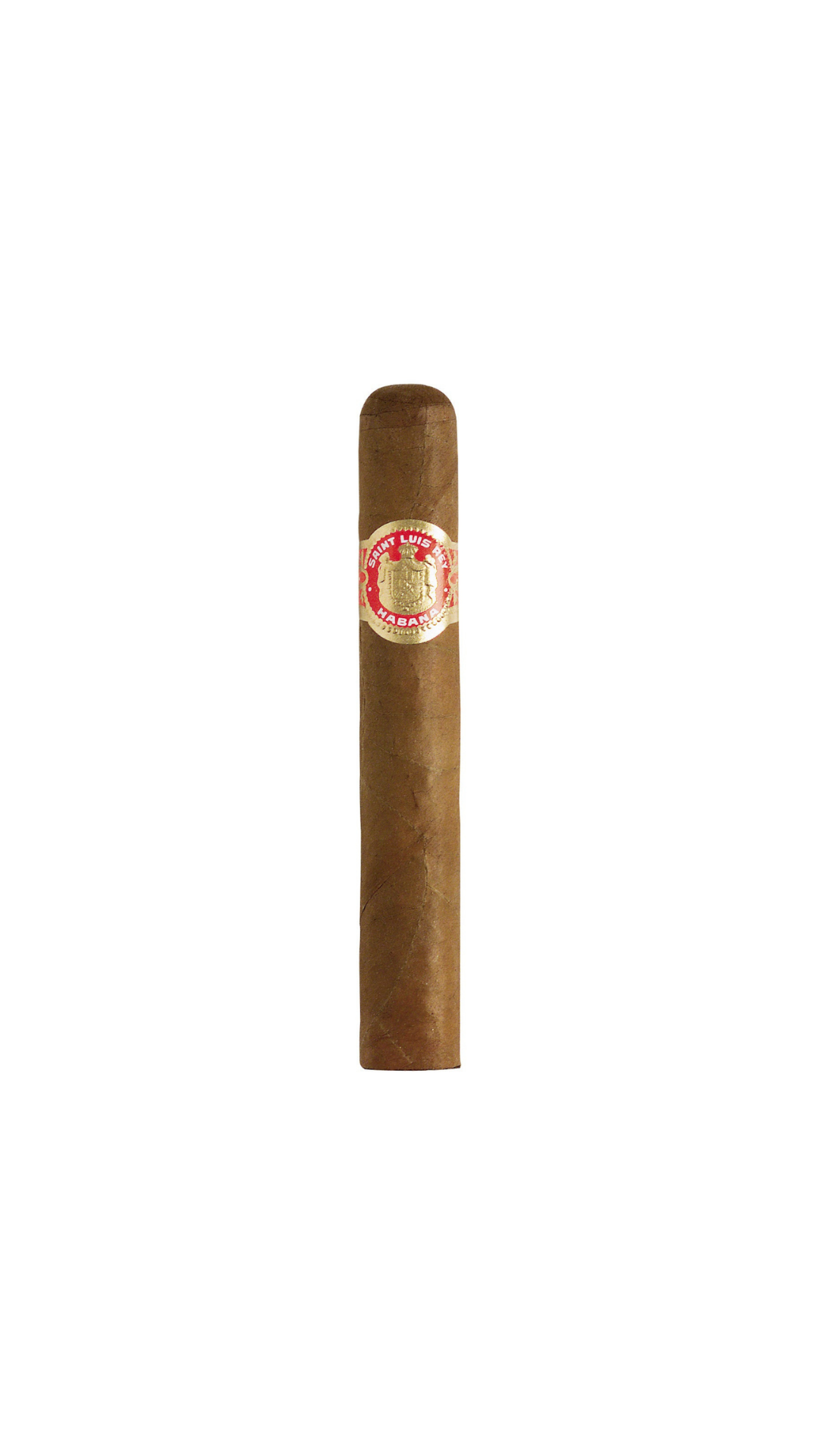 Saint Luis Rey Regios