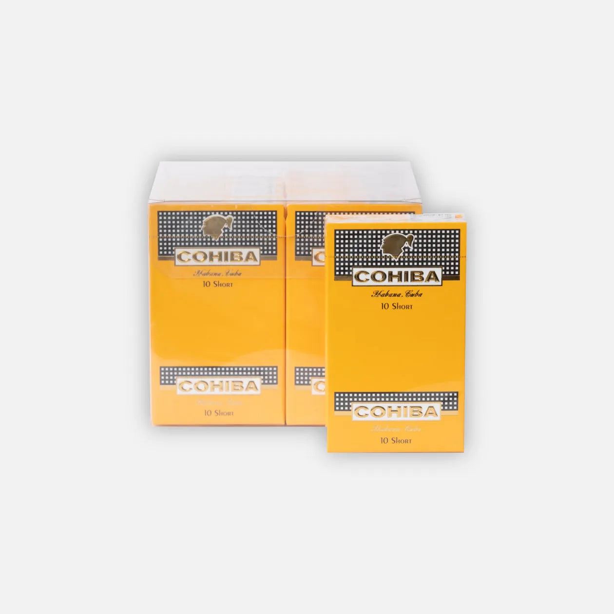 Cohiba Short [10x10]