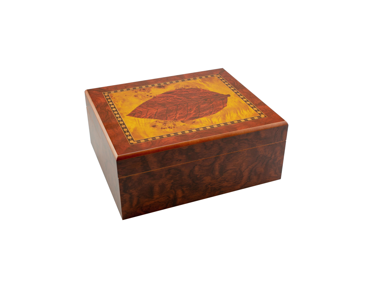 Humidor Tobacco Leaf 25