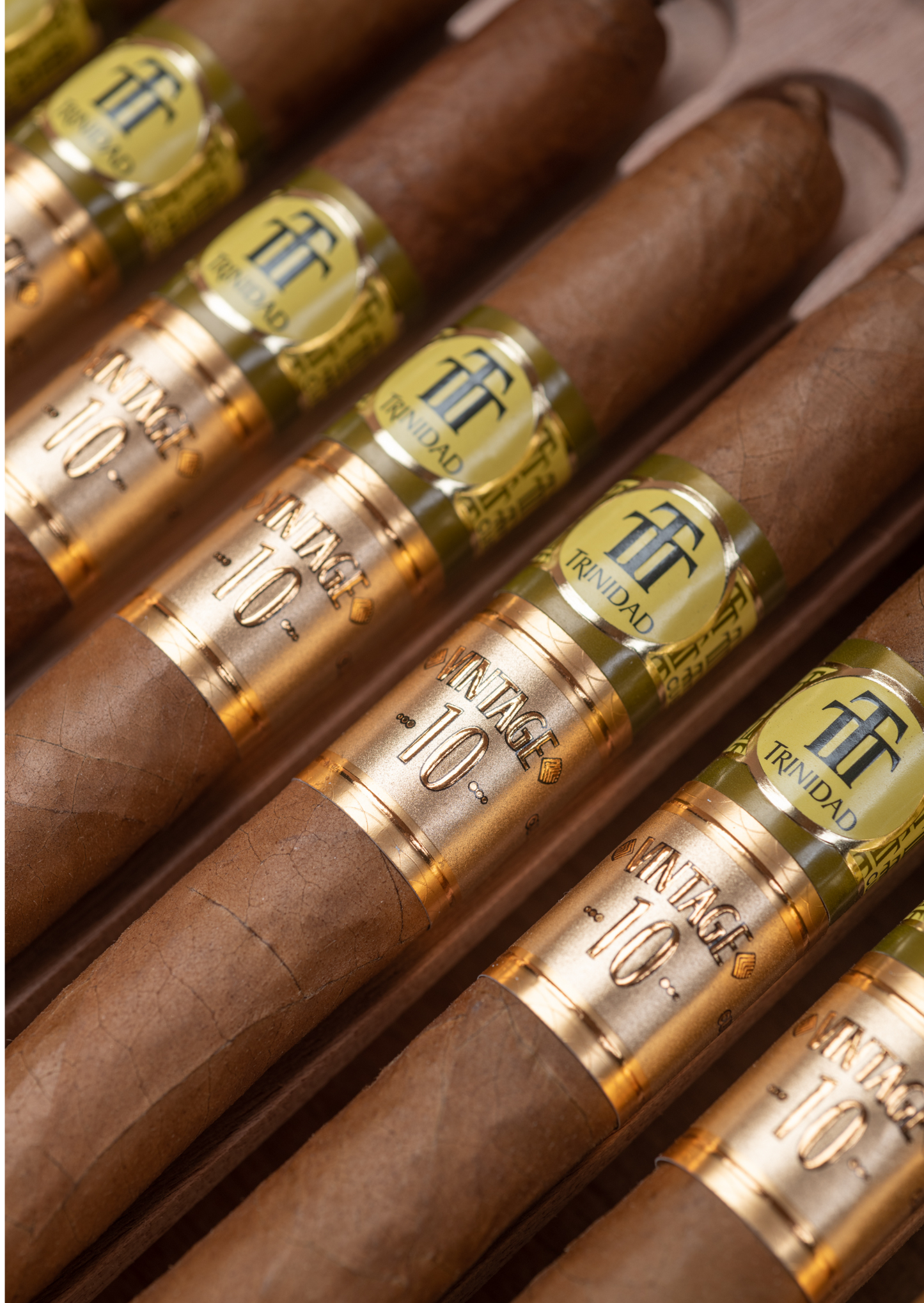 Trinidad Fundadores Vintage Humidor Aniversario 55